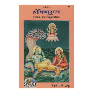 Shri Vishnu Puran with Hindi Translation (Code 48)